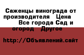 Саженцы винограда от производителя › Цена ­ 800 - Все города Сад и огород » Другое   